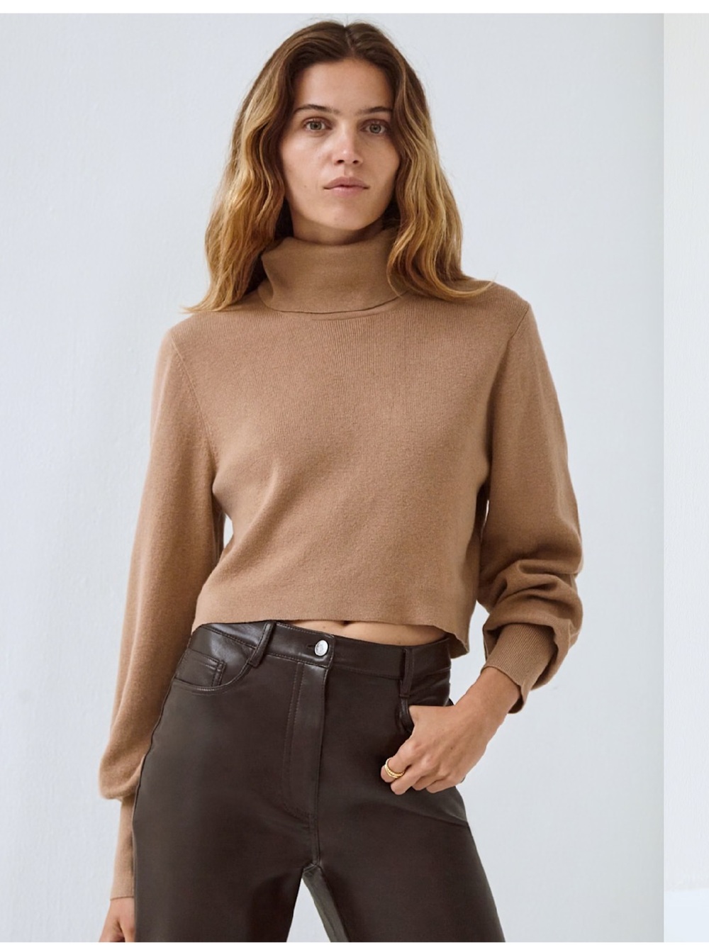 Aritzia • Wilfred Rebecca Turtleneck • Size Large